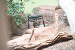 DSC_9136.JPG